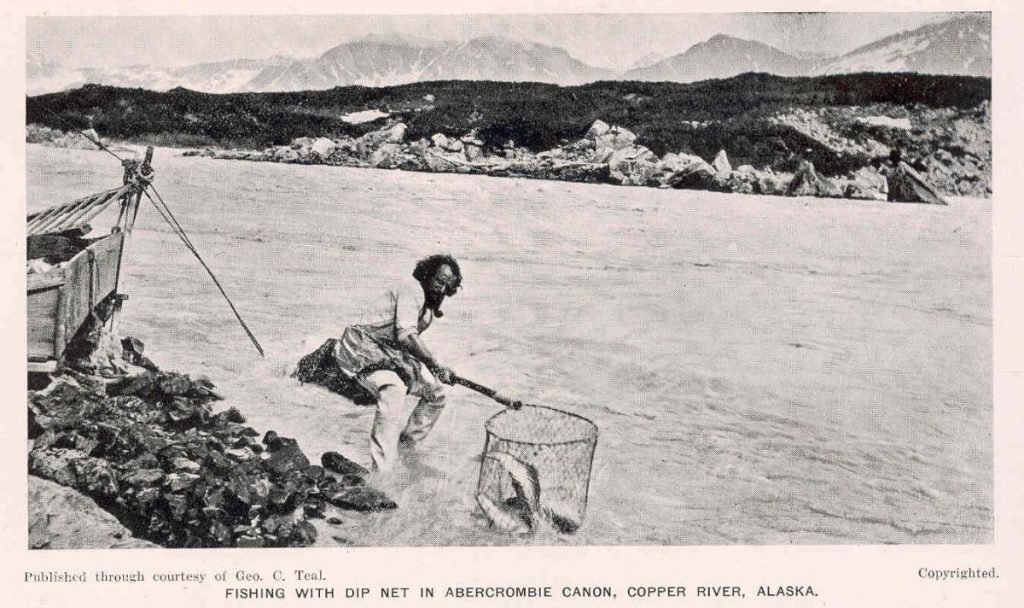 man fishes with a dip net in the Copper River in 1917