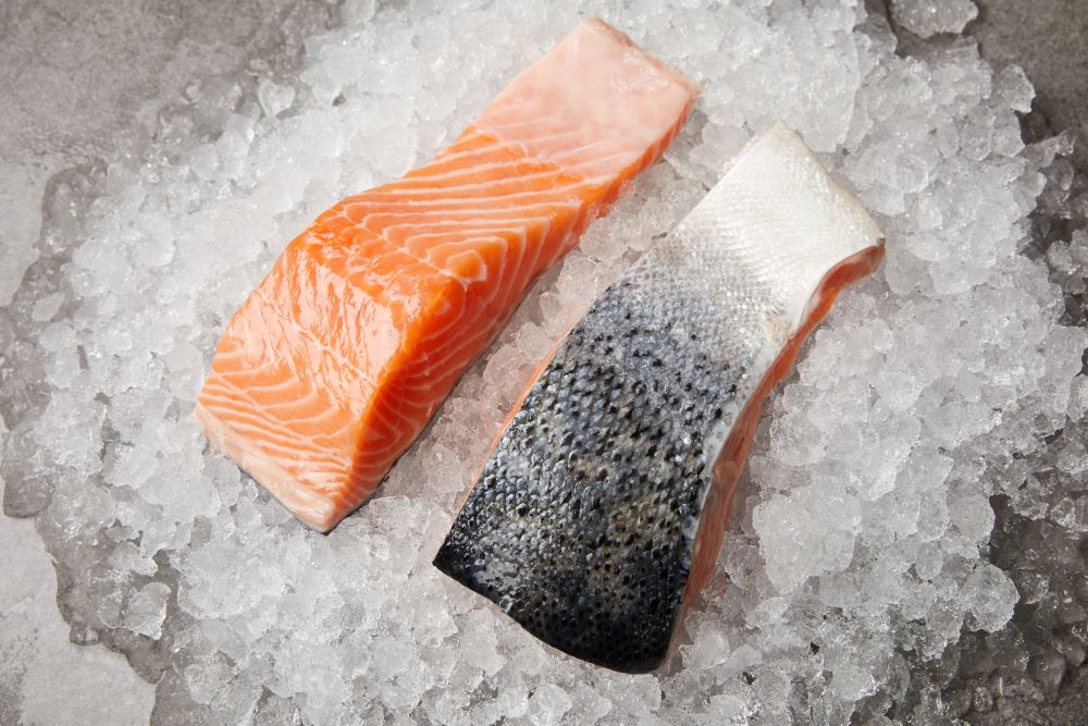 salmon on ice